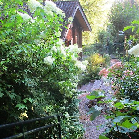 Ferienhaus Eulennest Hilders Buitenkant foto
