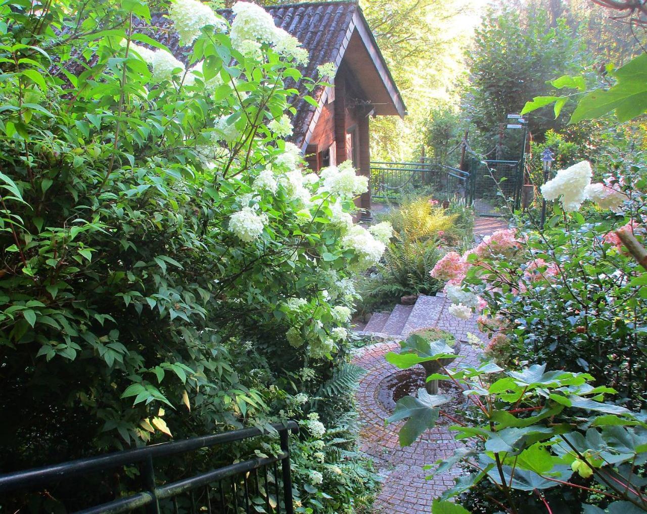 Ferienhaus Eulennest Hilders Buitenkant foto